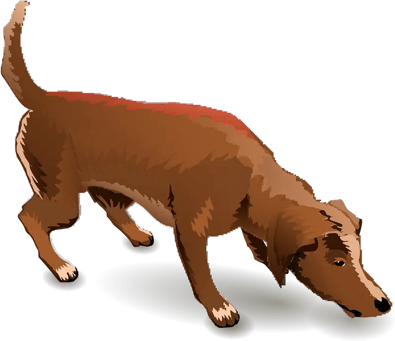 Sniffing Dog Clipart Dog Clipart Sniffing Dog Png Dog Clipart Transparent png