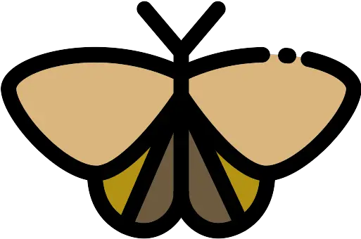 Moth Png Icon Moth Icon Moth Png