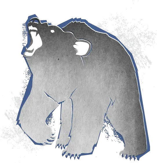 Download Spirit Bear Grizzly Bear Png Spirit Png