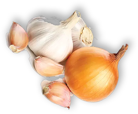 Onion Shallot Png Onion Png