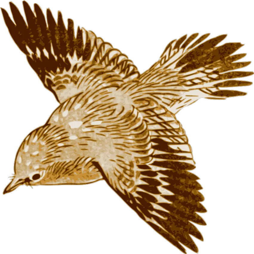 Download Free Png Flying Brown Birds Images Brown Bird Flying Png Flying Birds Png