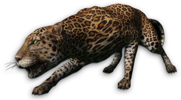 Leopard Transparent Dangerous Picture 2694548 Far Cry Primal Jaguar Png Snow Leopard Png