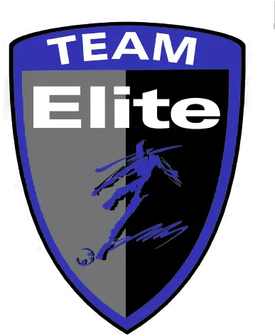 Team Elite Logo Automotive Decal Png Bullet Club Logos