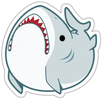 Derpy Great White Shark Sticker With Images Hydroflask Derpy Shark Png Shark Transparent