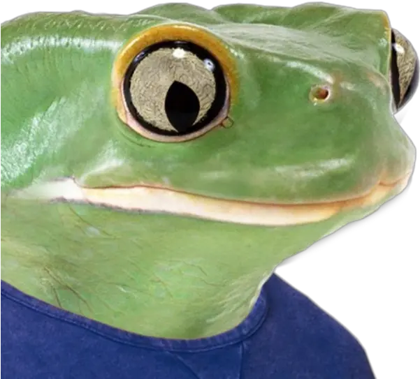 Been Hoarding Sad Frog Pepe Images For A Year This Is Pepe Frog Real Meme Png Pepe Frog Png