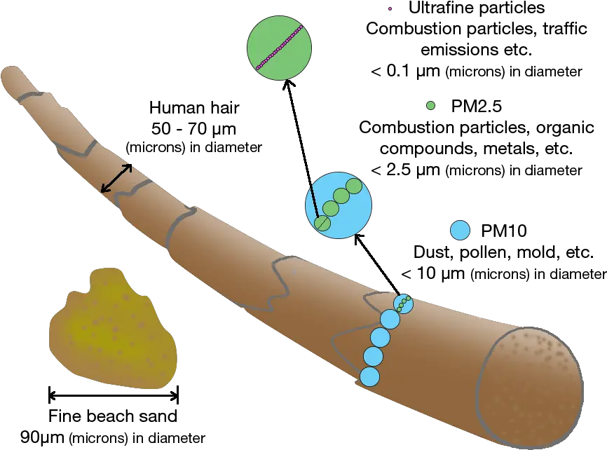 Particulate Matter How Small Is It Vfa Solutions Particulates Png Particles Png