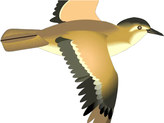 Cartoon Bird Flying Transparent Transparent Bird Clipart Flying Png Bird Flying Png