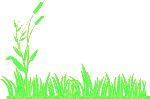 Free Grasses Cliparts Download Clip Art Keine Der Garten Notizbuch A5 120 Blanko Seiten In Weiß Für Gärtner Und Landschaftsgärtner Png Grass Clipart Png