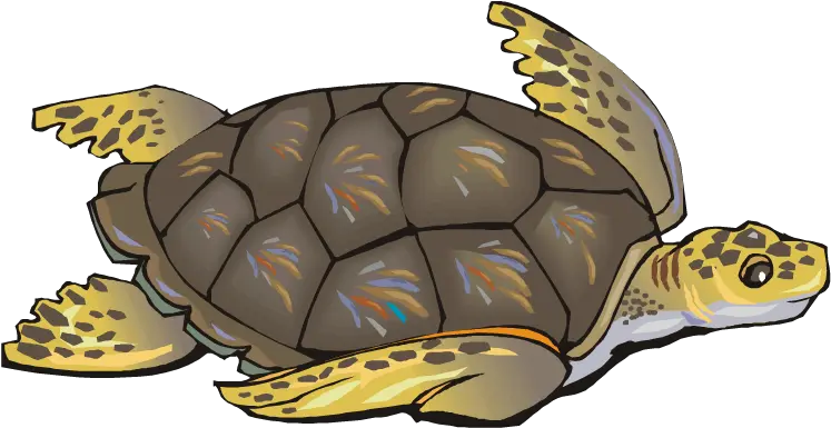 Free Turtle Clipart Sea Life Clipart Turtles Png Turtle Clipart Png