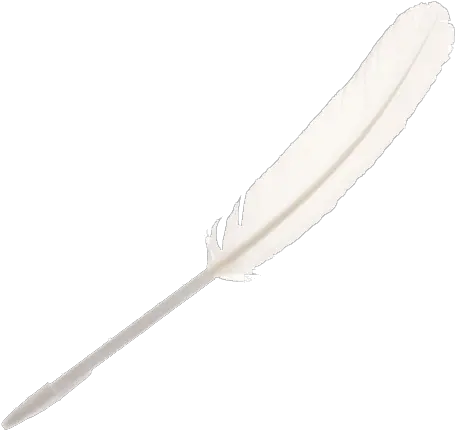 Feather Quill Pen Png