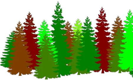 Pine Tree Line Vector Pine Trees Silhouette Png Tree Line Png