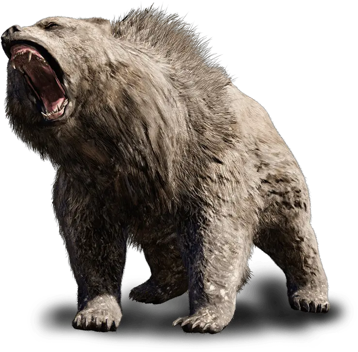 Bear Download Transparent Png Image Arts Far Cry Primal Cave Bear Bear Transparent