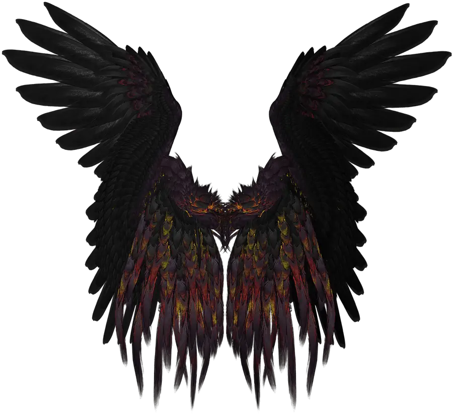 Short Black And Purple Wings Transparent Png Stickpng Fantasy Wings Png Wing Png