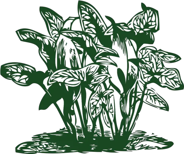 Tropical Plants Png Svg Clip Art For Vegetation Clipart Plant Icon Image Clip Art