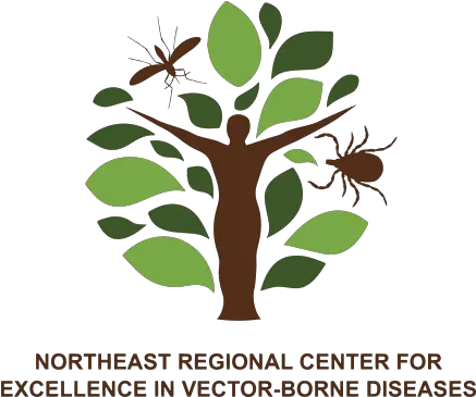 Nevbd Northeast Regional Center For Excellence In Vector Northeast Regional Center For Excellence In Vector Borne Diseases Png Tick Vector Icon