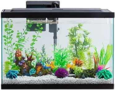 Aquarium Fish Tank Png Photo All 20 Gallon Fish Tank Tank Png