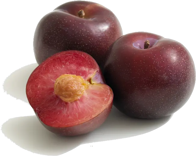 Download Plum Png Pic 1 Types Of Plums Plum Png
