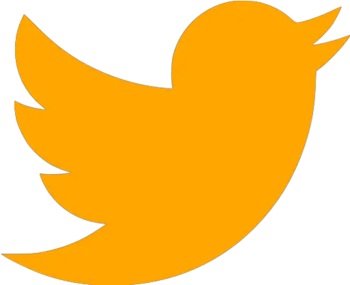 Orange Twitter Icon Transparent Twitter Logo Gray Png Twitter Logo Icon