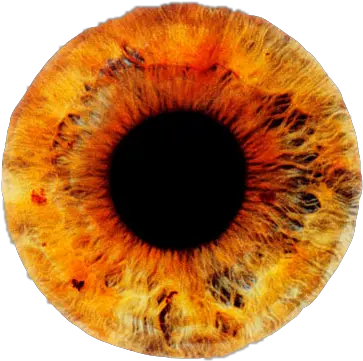 Yellow Red Orange Eye Lens Contactlens Honey Fire Sun Ice Fire Eye Lens Png Fire Texture Png png