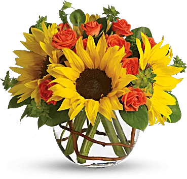 Sunny Sunflowers U2014 Blessings Floral Design Flower Arrangements With Contrast Png Sunflowers Transparent