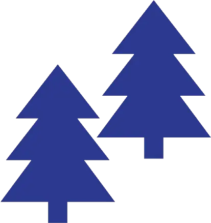 Solutions U2022 Water U0026 Wastewater Pino Arbol De Navidad Dibujo Png Needle In A Haystack Icon