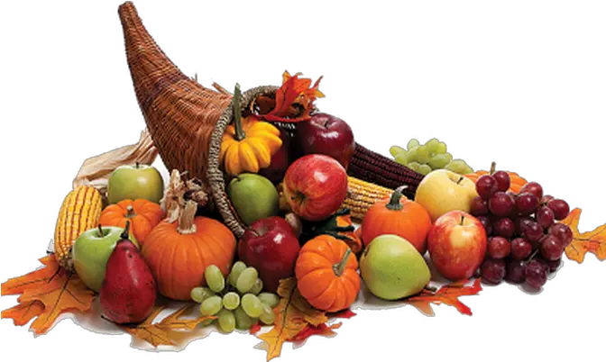 Thanksgiving Cornucopia Png Picture Thanksgiving Cornucopia Cornucopia Png