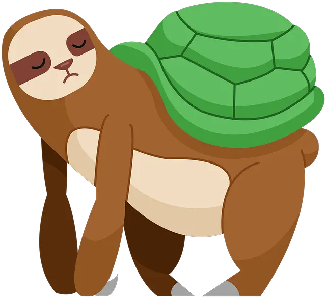 Sloth Turtle Shell Cartoon Free Image On Pixabay Turtle And Sloth Png Turtle Shell Icon