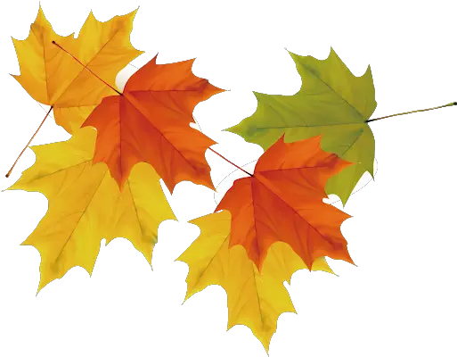 Download Free Autumn Falling Vector Leaf Hq Icon Green To Orange Yellow Leaves Png Autumn Leaf Icon