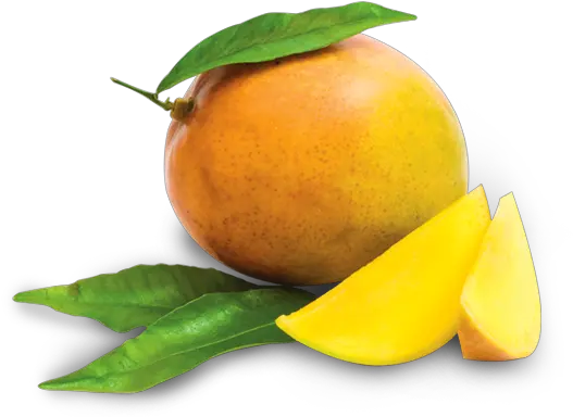 Mango Fruit Png Clipart Free Download Free Mango Lichi Mango Png