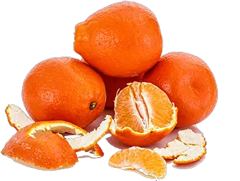 Writing U2014 Suzannau0027s Collections Jeruk Tangelo Png Oranges Png