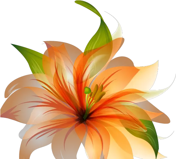 Orange Lily Flower Shower Curtain Orange Flower Vector Png Flower Vector Png