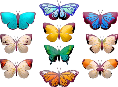 1000 Free Orange Butterfly U0026 Images Pixabay Clip Art Butterfly Png Butterflies Transparent