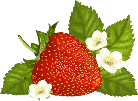 Strawberry Png Clipart Image Frutas Pinturas Clipart Strawberry Transparent Background Strawberries Transparent Background
