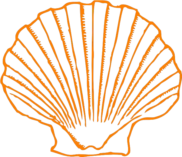 Seashells Clipart Orange Shell Clipart Png Transparent Purple Shell Clip Art Seashell Clipart Png