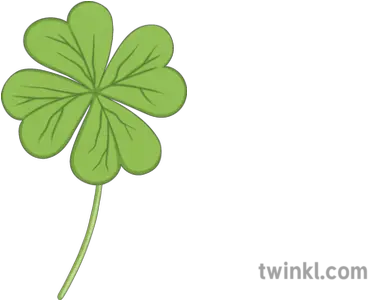 4 Leaf Clover Pshe Debate Saint Patricks Day Irish Ireland Shamrock Png Four Leaf Clover Png