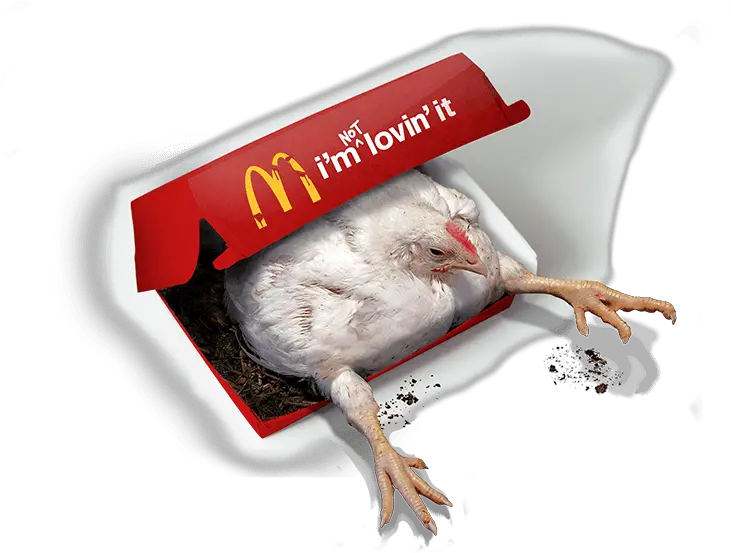 Iu0027m Not Lovinu0027 It I M Not Lovin It Png Mcdonalds Transparent