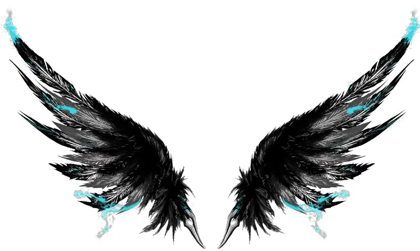 Black Wings Png Picture Got Broken Wings But I M Still Flying Wing Png