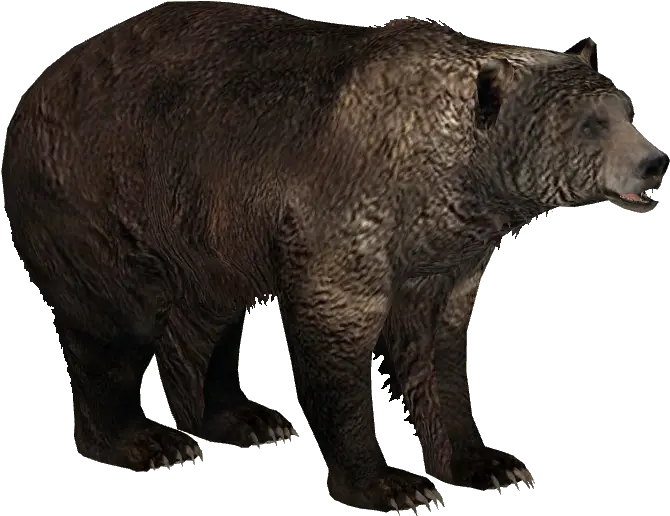 Ice Age Pack Zoo Tycoon 2 Bear Png Zoo Tycoon 2 Icon