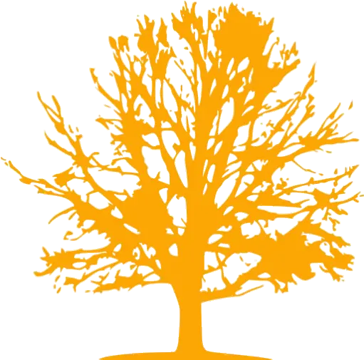 Orange Tree Icon Free Orange Tree Icons Everyone Shall Sit Under Their Own Vine Png Fruit Tree Icon