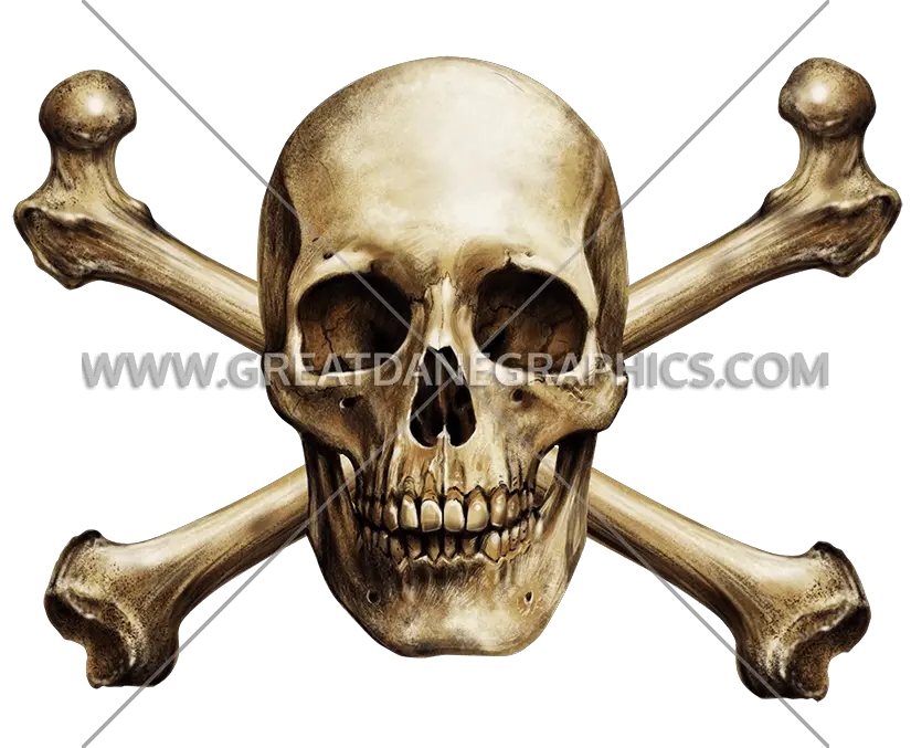 Skull Cross Bones Skull And Bones Realistic Png Skull And Bones Png