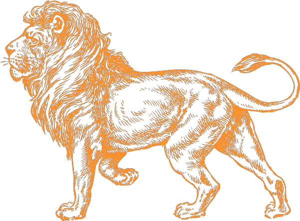 Orange Lion Logo Realistic Lion Clipart Black And White Png Orange Lion Logo