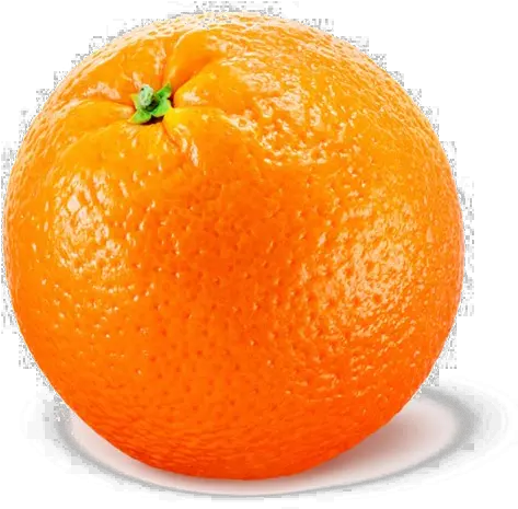 Single Orange Png Transparent Image Orange Fruit With Colour Orange Fruit Png