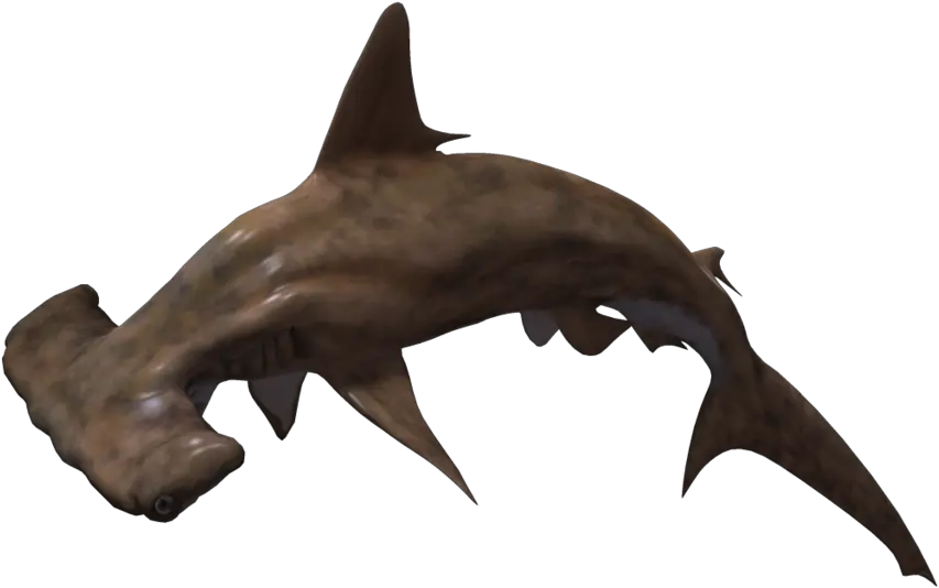 Download Free Shark Icon Favicon Freepngimg Transparent Background Hammerhead Shark Png Shark Icon