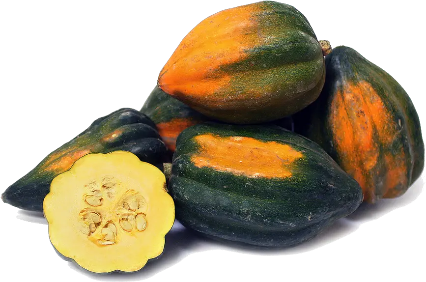 Download Acorn Squash Png Image Free Transparent Png Acorn Squash Acorn Transparent Background