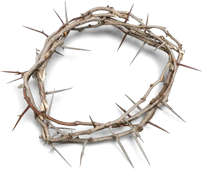 Download Crown Of Thorns Background Transparent Crown Of Thorns Png Thorn Crown Png