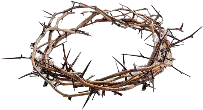 Thorns Crown Png Picture Jesus Crown Of Thorns Png Thorn Crown Png