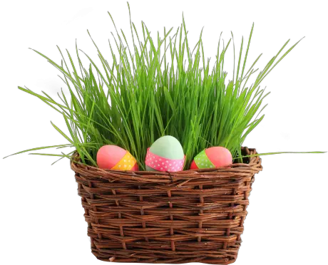 Download Free Png Easter Egg Basket Transparent Image Easter Basket Png Easter Eggs Transparent