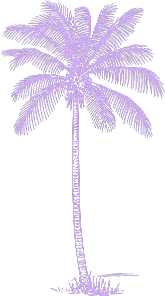 Palm Tree Clip Art Vector Clip Art Online Palm Tree Clip Art Pink Png Palm Leaf Transparent