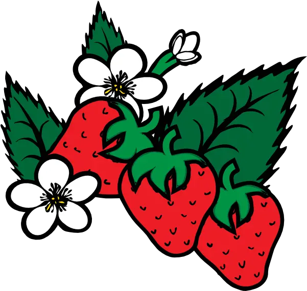 Strawberries Strawberry Farm Transparent U0026 Png Clipart Free Strawberry Picking Clip Art Strawberry Clipart Png