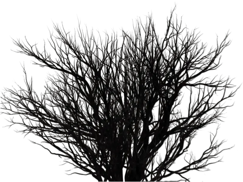 Black Bush Png 7 Image Transparent Bush Black And White Bushes Png